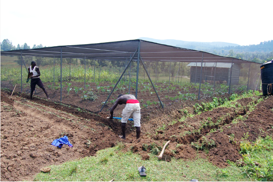 Imbeke Vocational Training Centre - Kenya